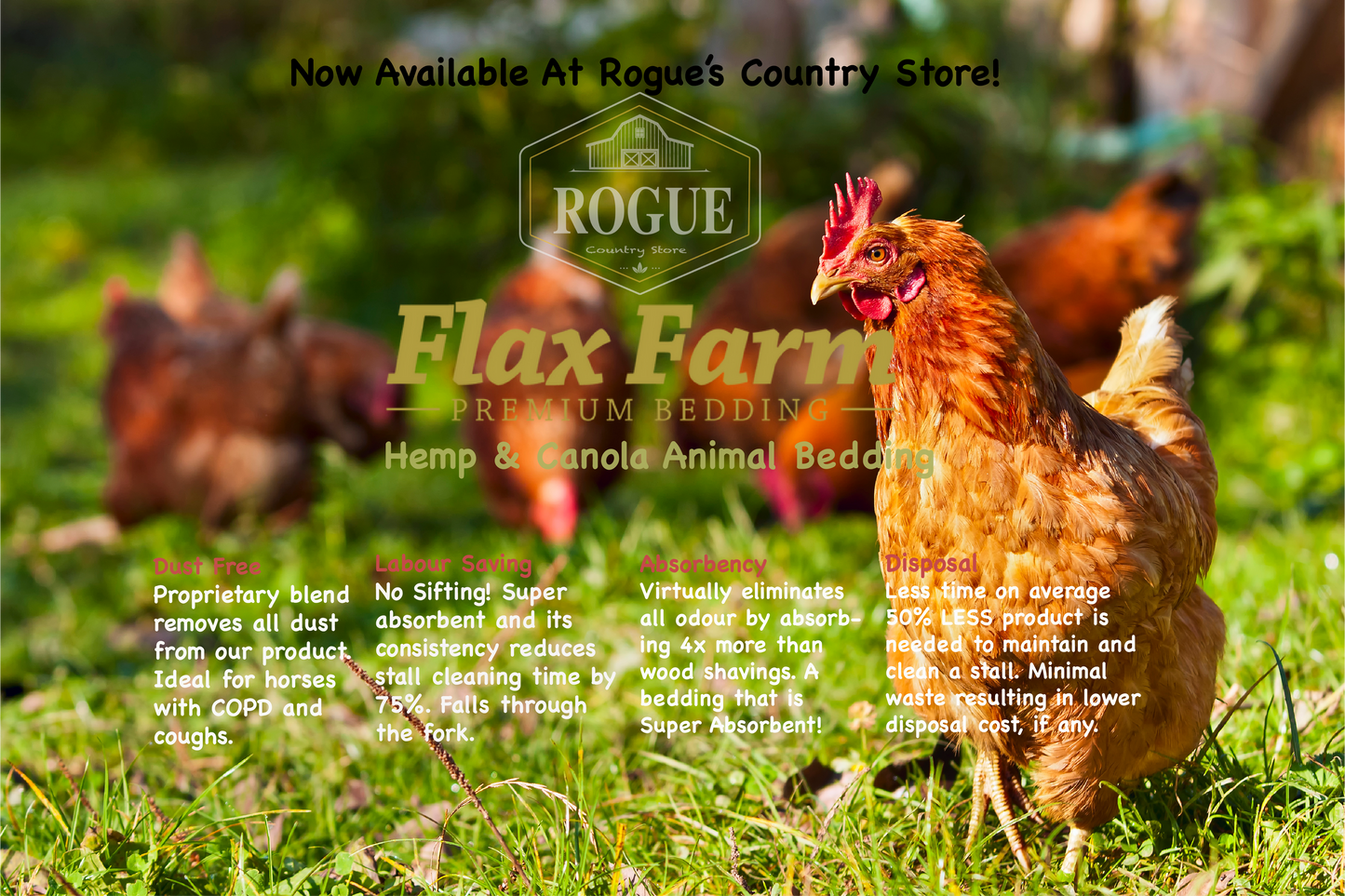 Premium Chicken Bedding