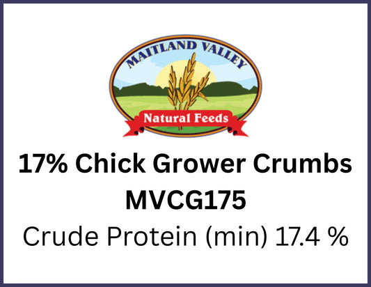 Non-GMO chicken feed for pasture-raised chickens in Chatham Ontario at Rogue Acres