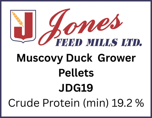 Muscovy Duck Grower