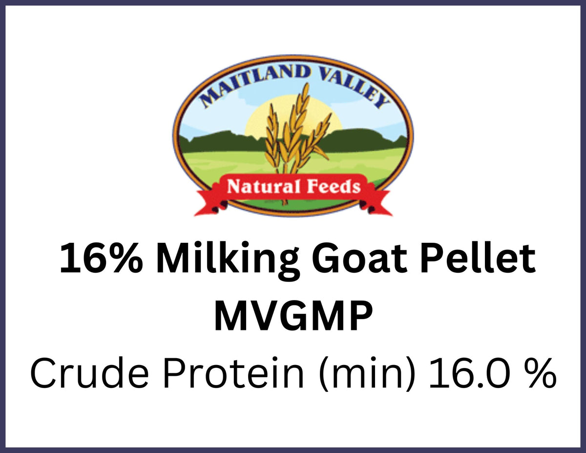 Goat Ration Maitland Valley Lactating Goat Ration – Rogue's Country Store