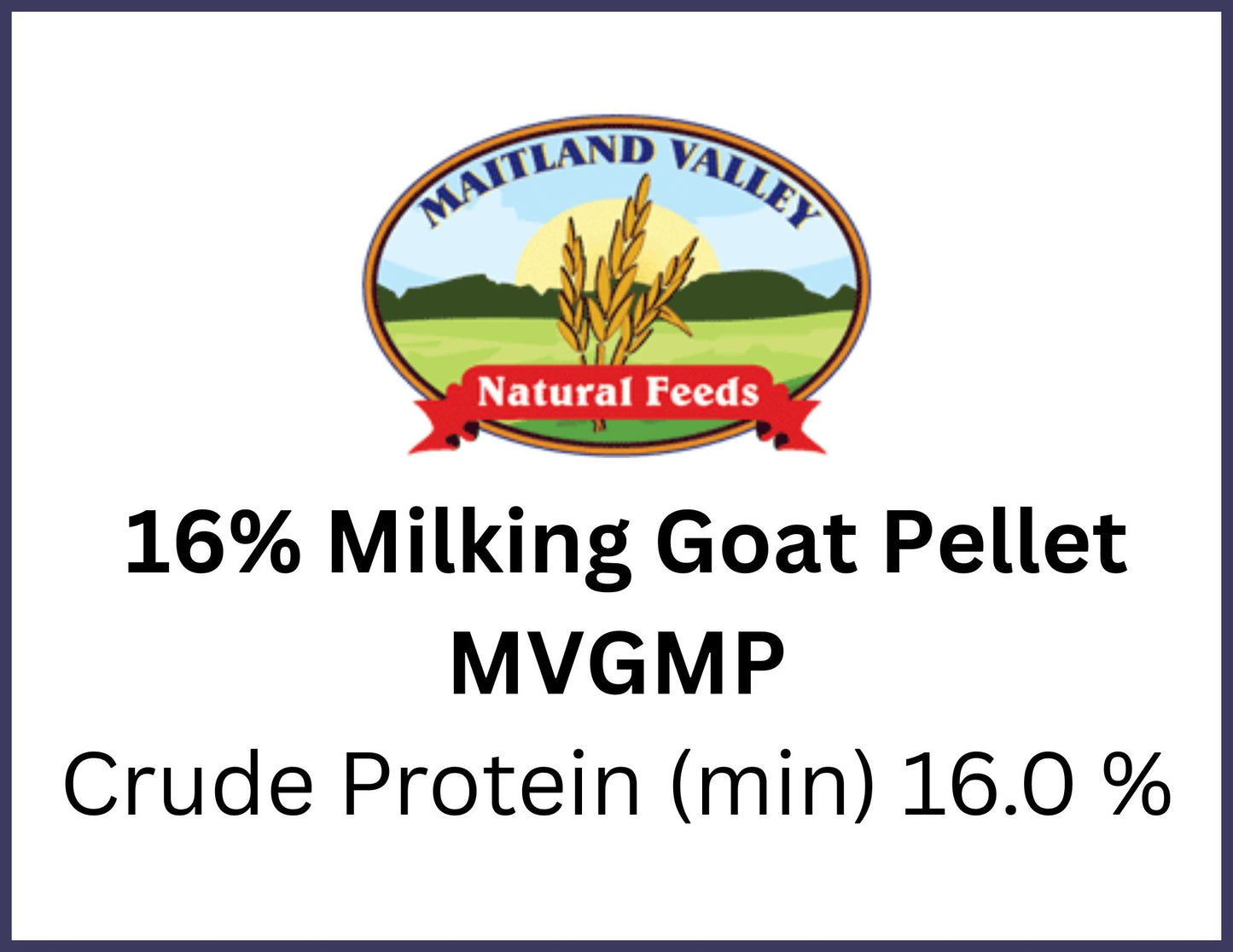 goat feed for pasture-raised goat in Chatham Ontario at Rogue Acres