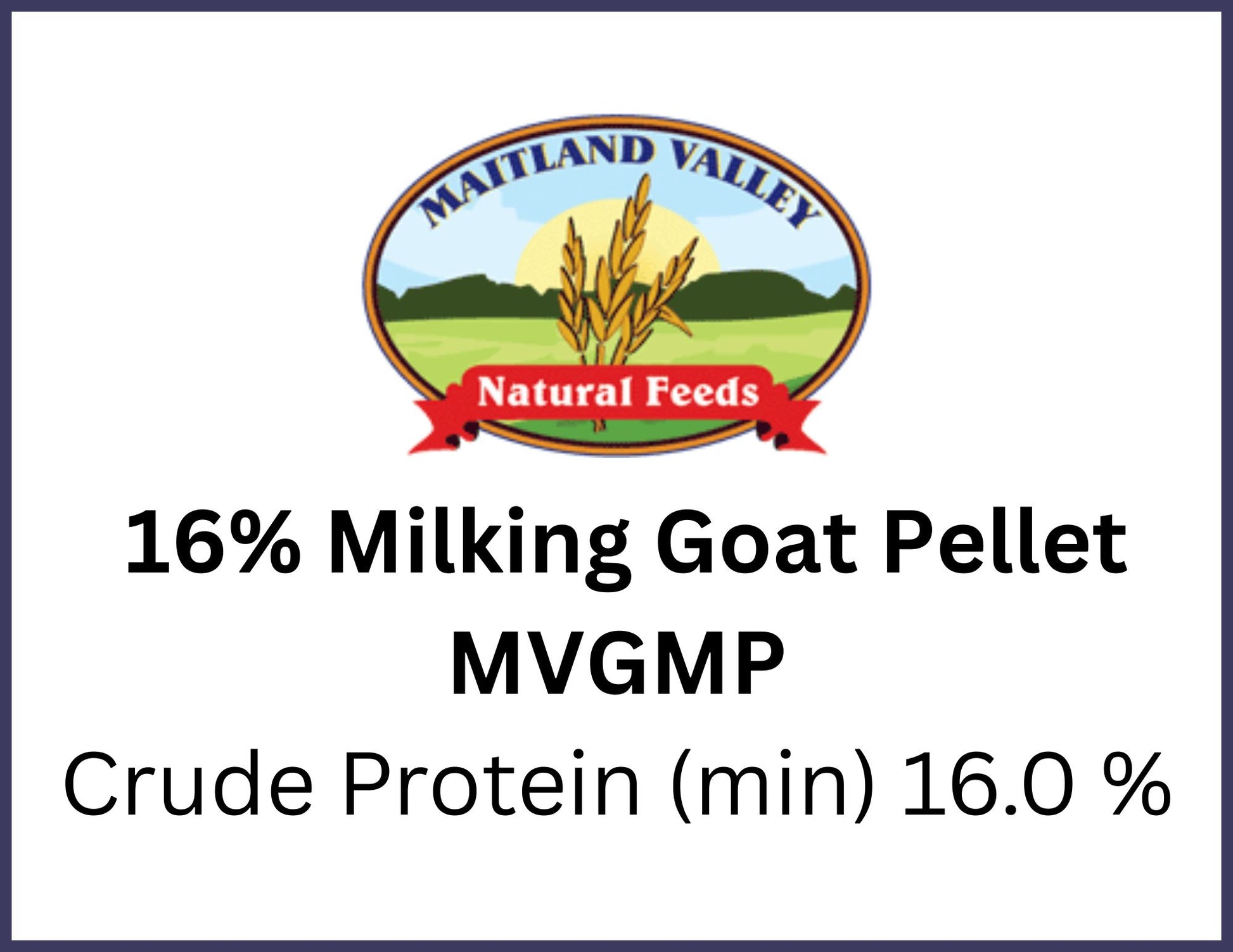 goat feed for pasture-raised goat in Chatham Ontario at Rogue Acres