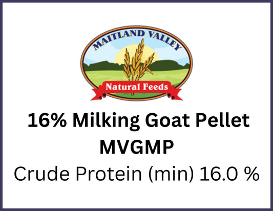 goat feed for pasture-raised goat in Chatham Ontario at Rogue Acres