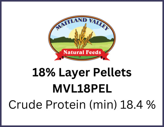 Non-GMO chicken feed for pasture-raised chickens in Chatham Ontario at Rogue Acres