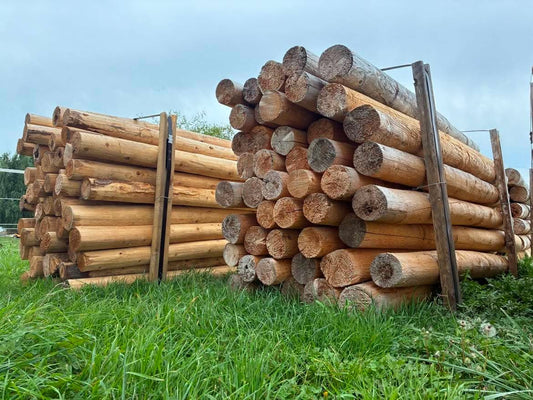 Farm cedar fence posts for livestock fencing available in Pain Court Ontario
