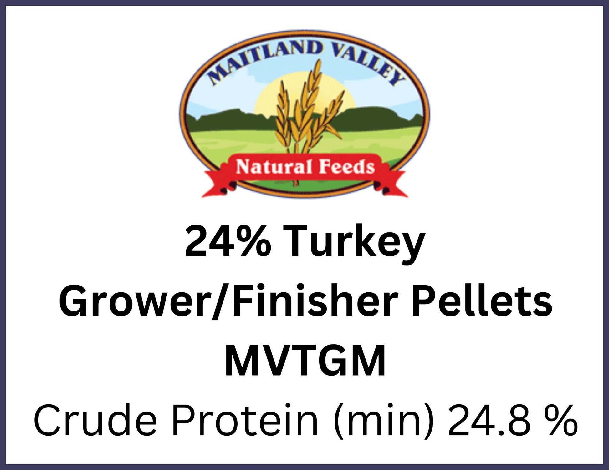 turkey feed for pasture-raised turkeys in Chatham Ontario at Rogue Acres