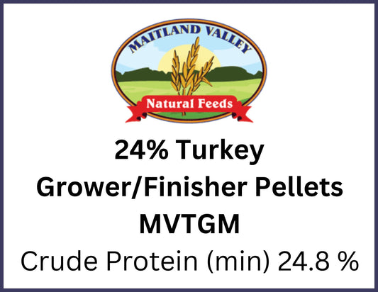turkey feed for pasture-raised turkeys in Chatham Ontario at Rogue Acres