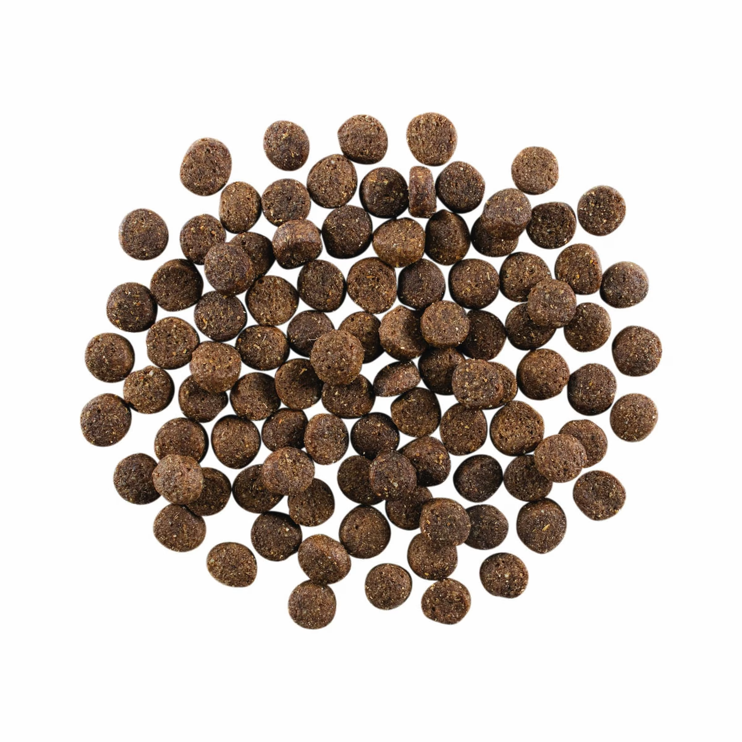 GO! Skin & Coat Lamb 22lb