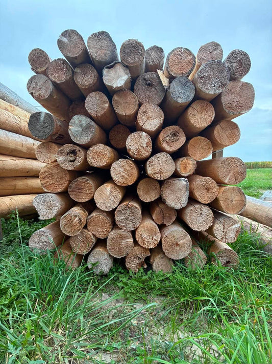 Farm cedar fence posts for livestock fencing available in Pain Court Ontario