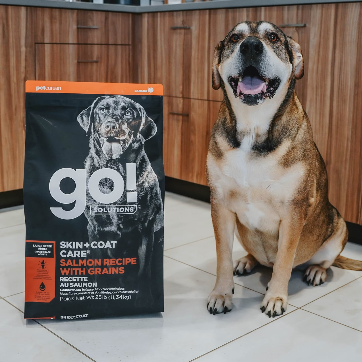 GO! Skin and Coat Large Breed Dog 25lb
