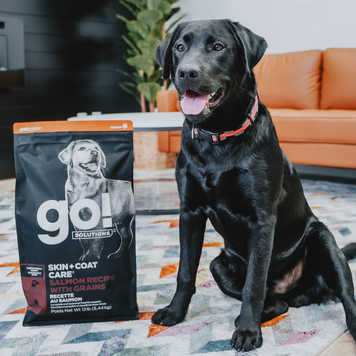 GO! Skin & Coat Large Breed Puppy 25lb