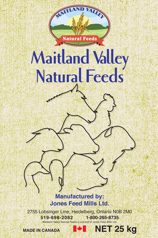Non-GMO chicken feed for pasture-raised chickens in Chatham Ontario at Rogue Acres